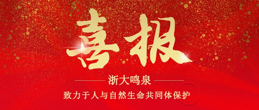 浙大开云线上官网_开云(中国)顺利通过安全生产标准化三级企业验收复审